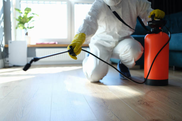 Reliable Odor Removal contractor in Stone Mountain, GA by Trauma Clean Pros